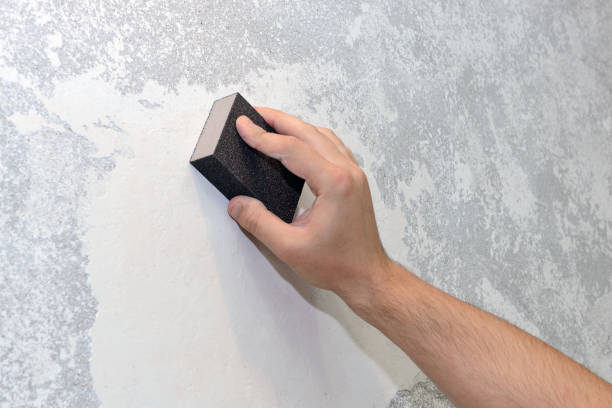 Professional Mold Removal in Keeseville, NY