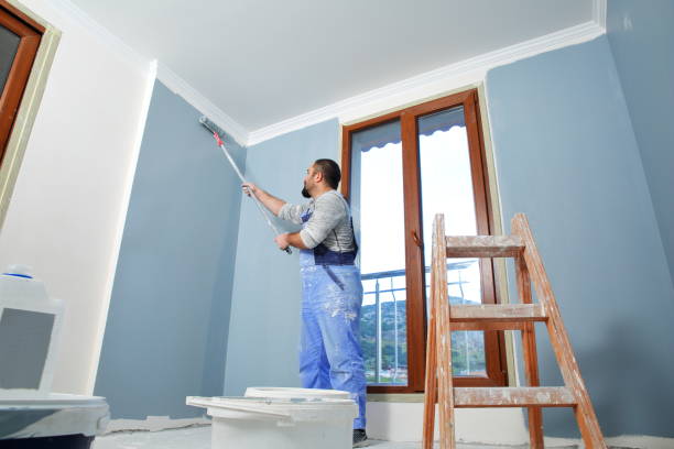 Best Environmental Consulting for Mold Prevention  in Keeseville, NY