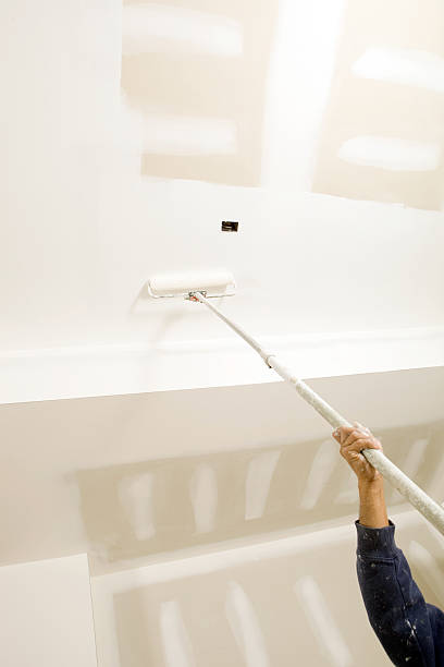 Mold Documentation for Insurance Claims in Keeseville, NY